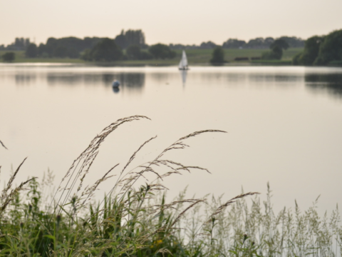 Budworth Mere