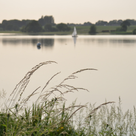 Budworth Mere