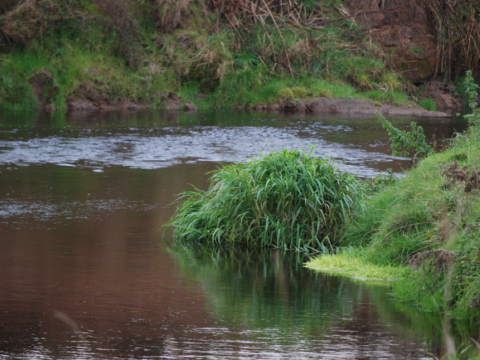 River Dane