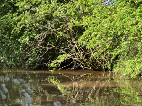 Trent and Mersey Canal