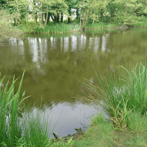 Davenham Pits